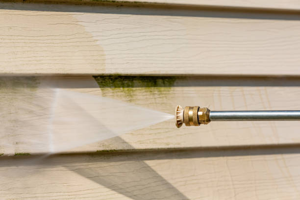 Best Roof Pressure Washing  in White Center, WA